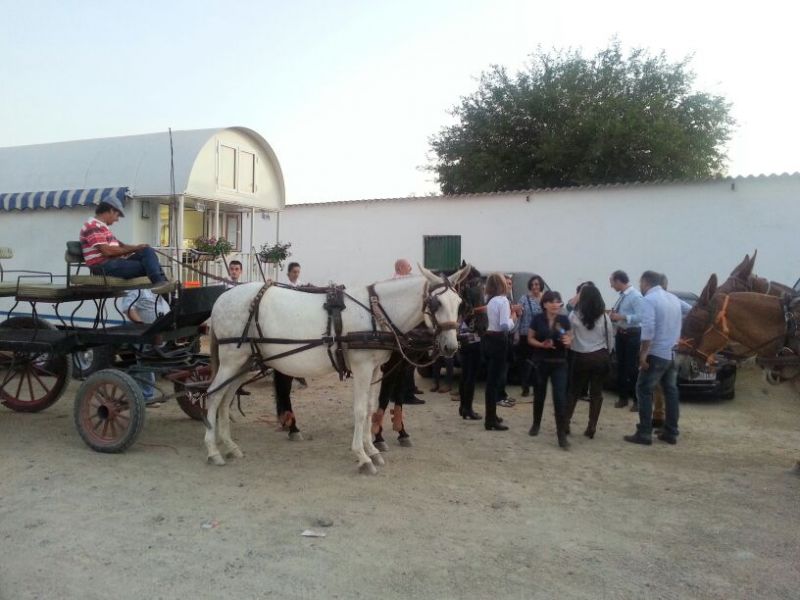 Ruta nocturna ecuestre 20/07/2013