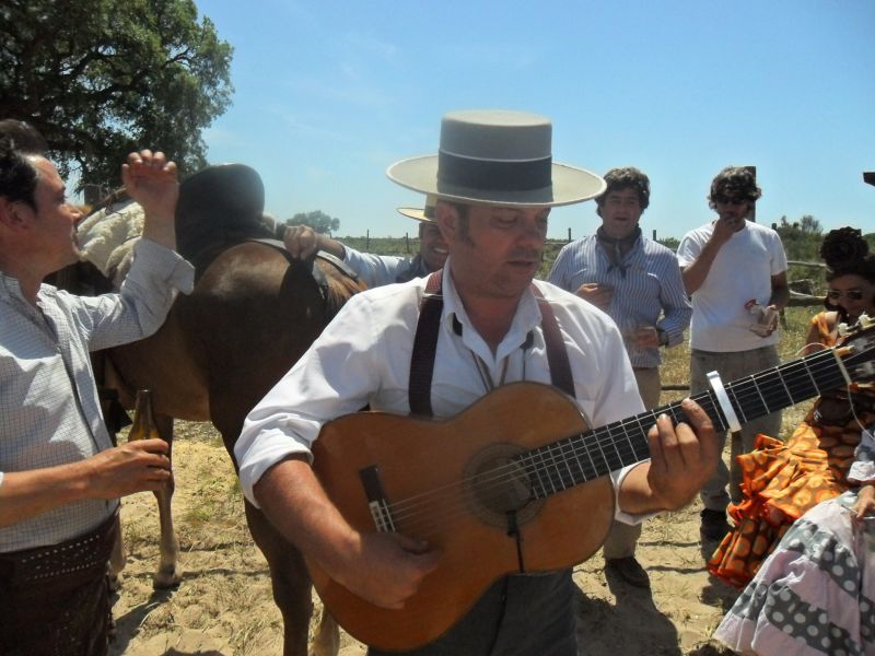 Romería del Rocío 2012