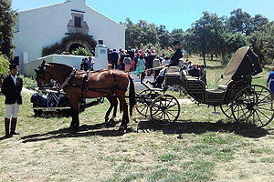 Servicio de alquiler de Coches de Caballos