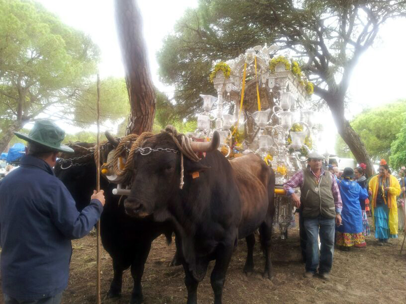 Sin Pecado de Sanlucar de Barrameda por Doñana